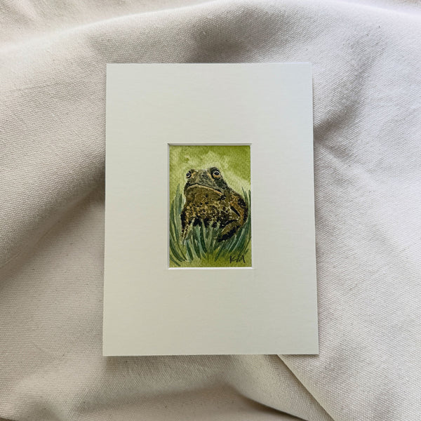 "Majestic Toad of the Forest" - Matted Print