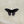 Swallowtail Butterfly Sticker