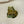Majestic Toad of the Forest Sticker