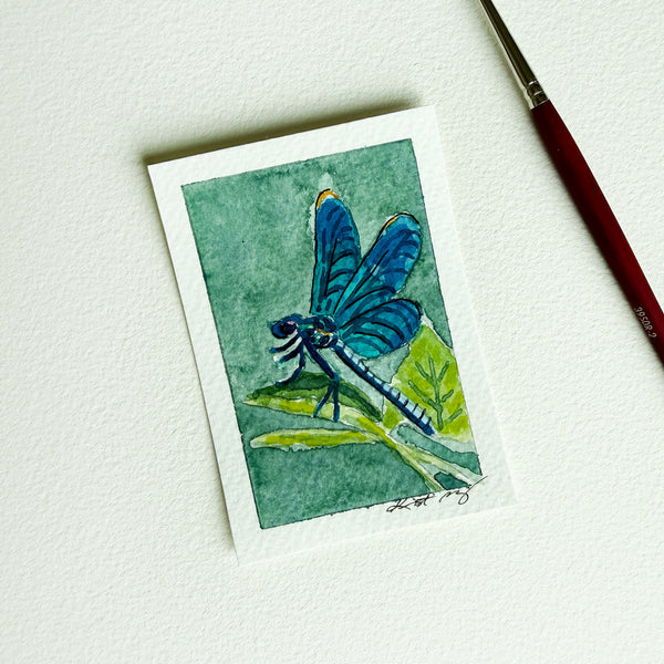 "Blue-winged Dragonfly" - Original ACEO Watercolor