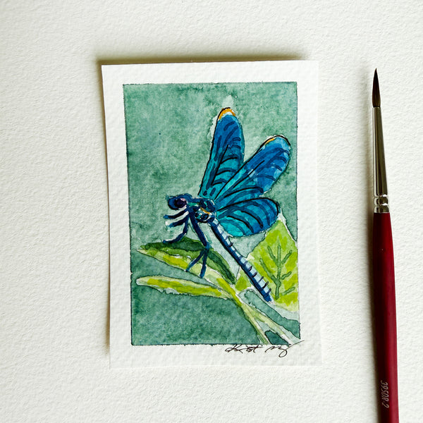 "Blue-winged Dragonfly" - Original ACEO Watercolor
