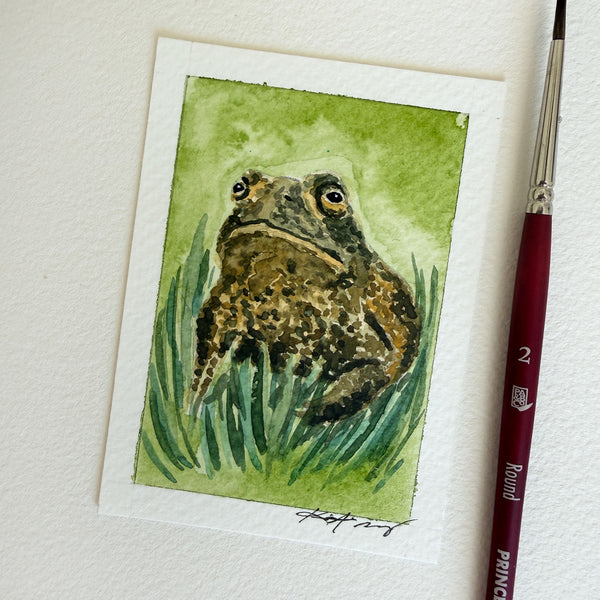 "Majestic Toad of the Forest" - Original ACEO Watercolor