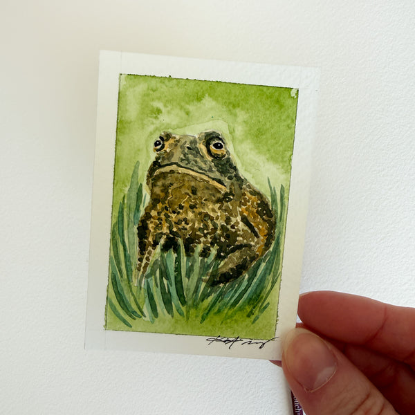 "Majestic Toad of the Forest" - Original ACEO Watercolor