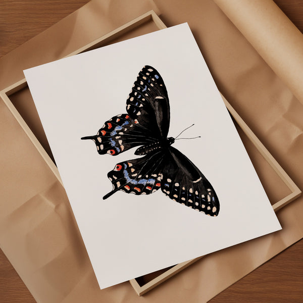Black Swallowtail Fine Art Print
