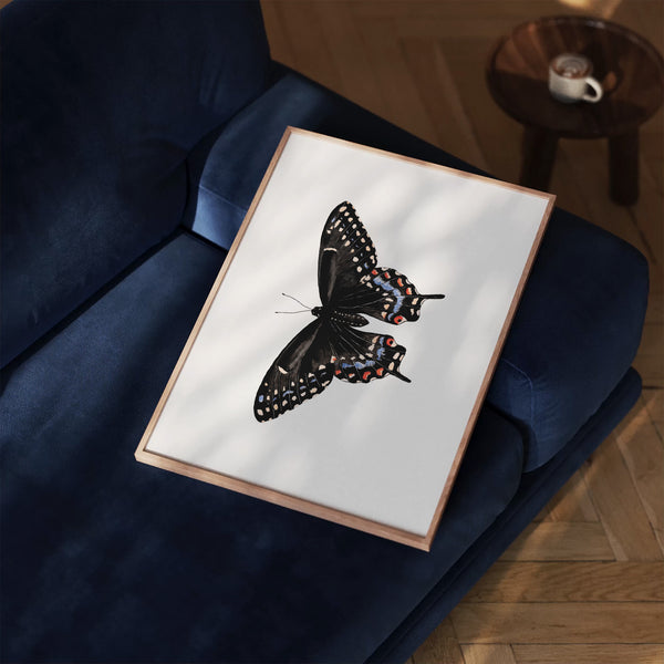 Black Swallowtail Fine Art Print