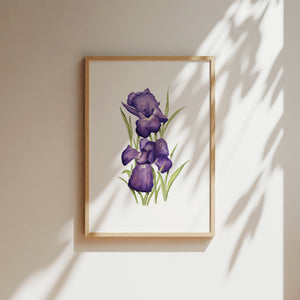 Watercolor print of an iris flower.