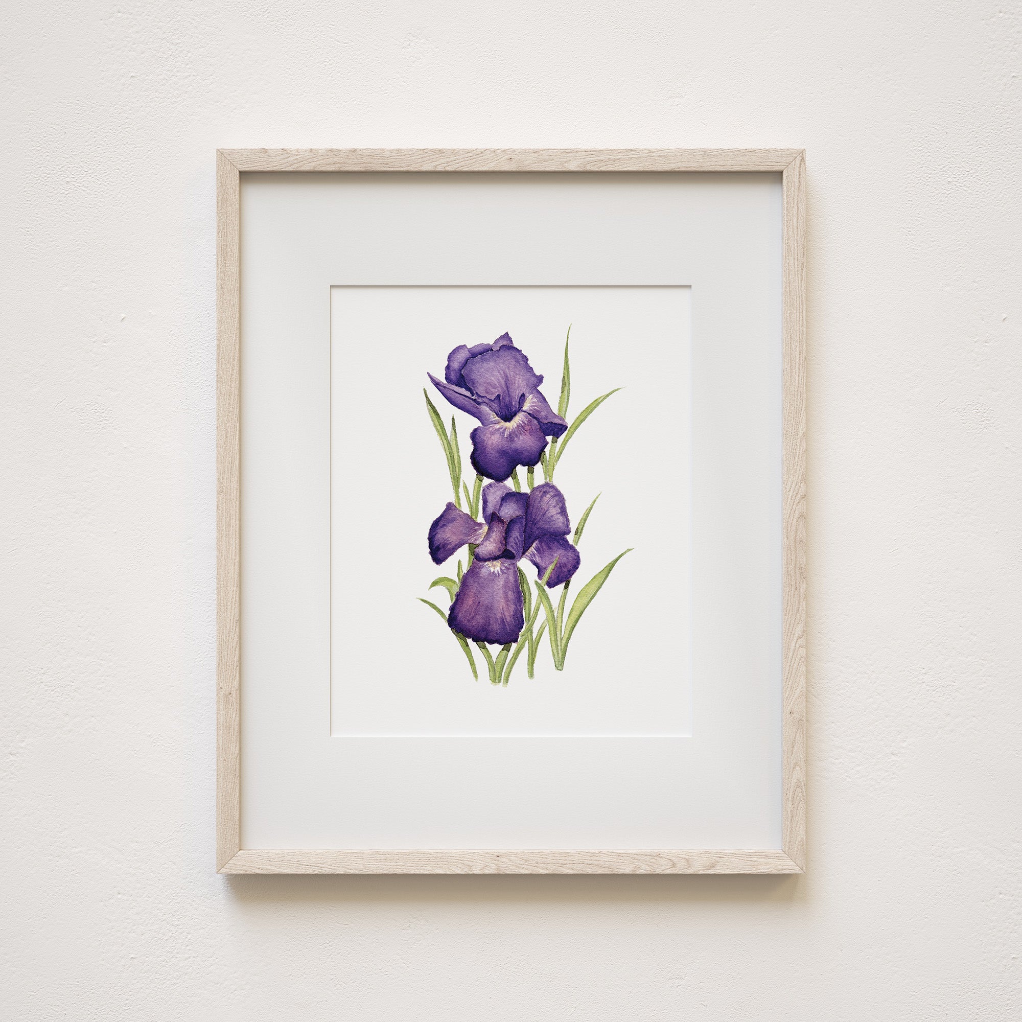 Watercolor print of an iris flower.